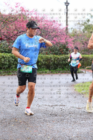 2026左岸竹東櫻花馬拉松Zhudong Sakura Marathon