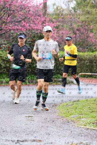 2026左岸竹東櫻花馬拉松Zhudong Sakura Marathon