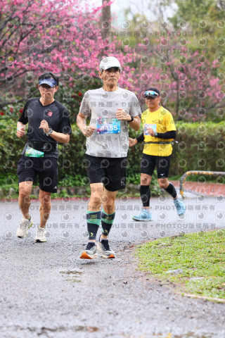2026左岸竹東櫻花馬拉松Zhudong Sakura Marathon