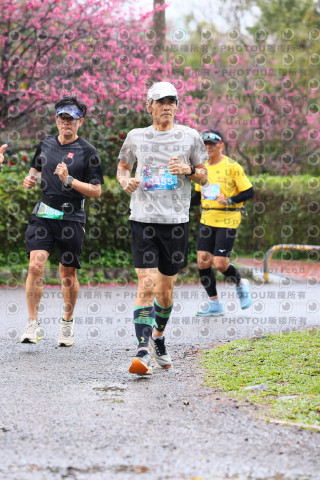 2026左岸竹東櫻花馬拉松Zhudong Sakura Marathon