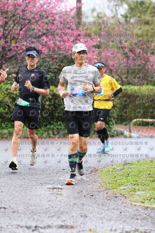 2026左岸竹東櫻花馬拉松Zhudong Sakura Marathon