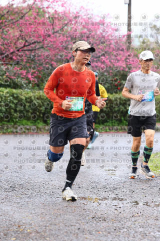 2026左岸竹東櫻花馬拉松Zhudong Sakura Marathon