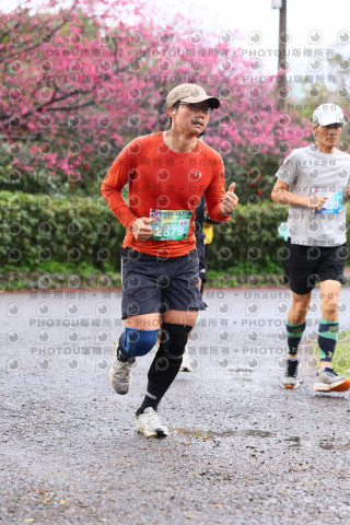 2026左岸竹東櫻花馬拉松Zhudong Sakura Marathon