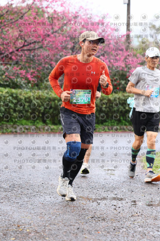 2026左岸竹東櫻花馬拉松Zhudong Sakura Marathon