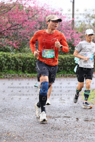 2026左岸竹東櫻花馬拉松Zhudong Sakura Marathon