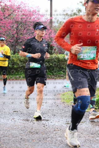 2026左岸竹東櫻花馬拉松Zhudong Sakura Marathon