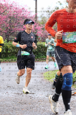 2026左岸竹東櫻花馬拉松Zhudong Sakura Marathon