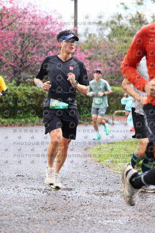 2026左岸竹東櫻花馬拉松Zhudong Sakura Marathon