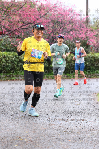 2026左岸竹東櫻花馬拉松Zhudong Sakura Marathon