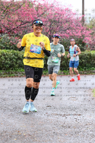 2026左岸竹東櫻花馬拉松Zhudong Sakura Marathon