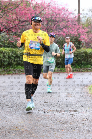 2026左岸竹東櫻花馬拉松Zhudong Sakura Marathon