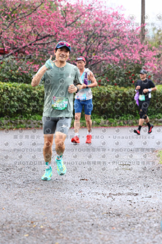 2026左岸竹東櫻花馬拉松Zhudong Sakura Marathon