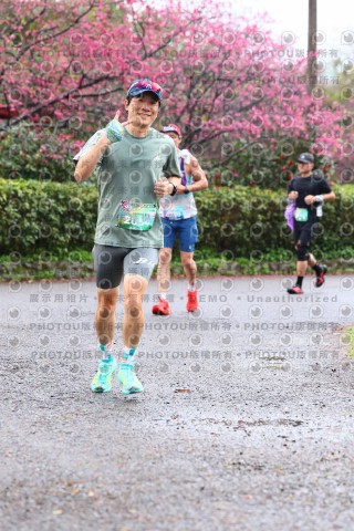 2026左岸竹東櫻花馬拉松Zhudong Sakura Marathon