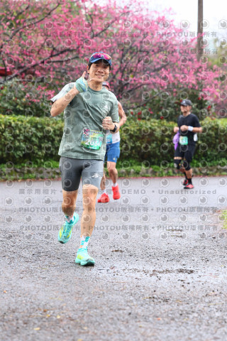 2026左岸竹東櫻花馬拉松Zhudong Sakura Marathon