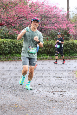 2026左岸竹東櫻花馬拉松Zhudong Sakura Marathon