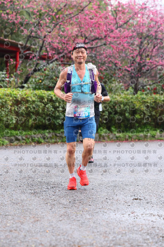 2026左岸竹東櫻花馬拉松Zhudong Sakura Marathon