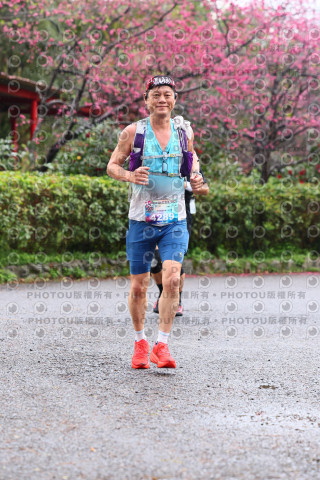 2026左岸竹東櫻花馬拉松Zhudong Sakura Marathon