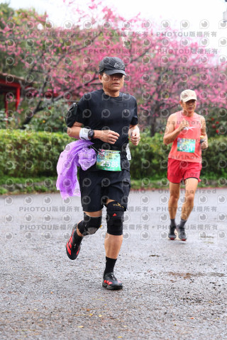 2026左岸竹東櫻花馬拉松Zhudong Sakura Marathon
