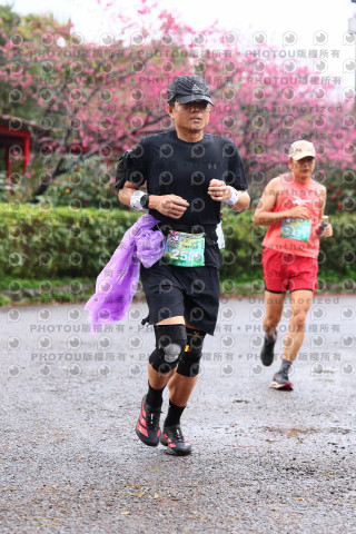 2026左岸竹東櫻花馬拉松Zhudong Sakura Marathon