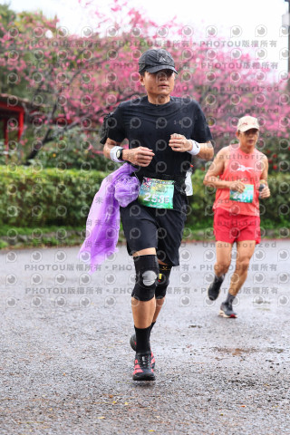 2026左岸竹東櫻花馬拉松Zhudong Sakura Marathon
