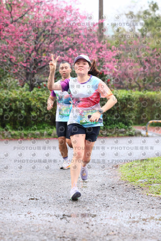 2026左岸竹東櫻花馬拉松Zhudong Sakura Marathon