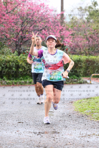 2026左岸竹東櫻花馬拉松Zhudong Sakura Marathon