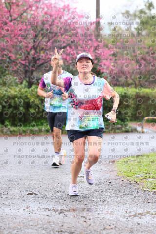 2026左岸竹東櫻花馬拉松Zhudong Sakura Marathon