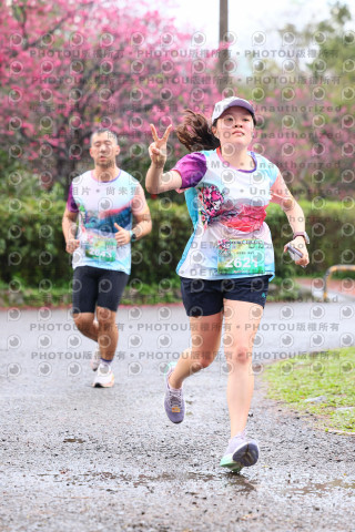 2026左岸竹東櫻花馬拉松Zhudong Sakura Marathon