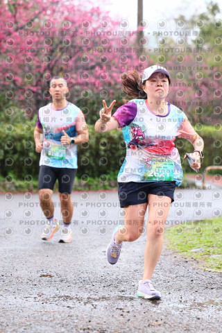 2026左岸竹東櫻花馬拉松Zhudong Sakura Marathon