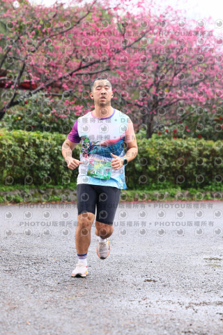 2026左岸竹東櫻花馬拉松Zhudong Sakura Marathon