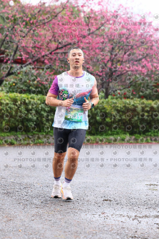 2026左岸竹東櫻花馬拉松Zhudong Sakura Marathon