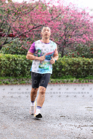 2026左岸竹東櫻花馬拉松Zhudong Sakura Marathon