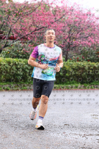 2026左岸竹東櫻花馬拉松Zhudong Sakura Marathon
