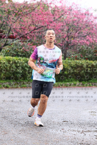 2026左岸竹東櫻花馬拉松Zhudong Sakura Marathon