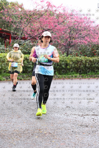 2026左岸竹東櫻花馬拉松Zhudong Sakura Marathon