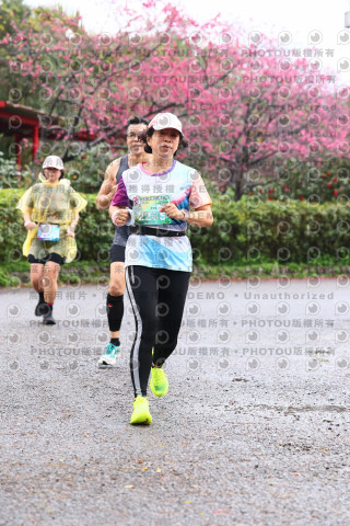 2026左岸竹東櫻花馬拉松Zhudong Sakura Marathon
