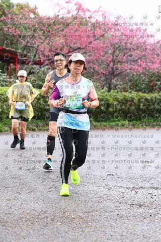 2026左岸竹東櫻花馬拉松Zhudong Sakura Marathon