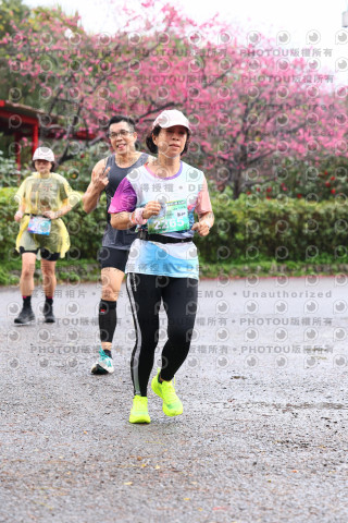 2026左岸竹東櫻花馬拉松Zhudong Sakura Marathon