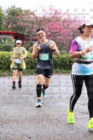 2026左岸竹東櫻花馬拉松Zhudong Sakura Marathon