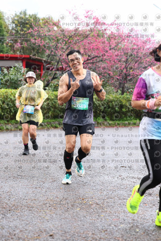 2026左岸竹東櫻花馬拉松Zhudong Sakura Marathon