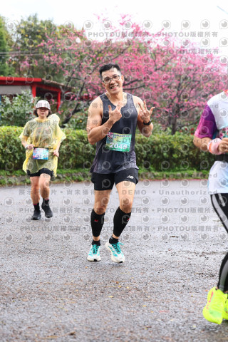 2026左岸竹東櫻花馬拉松Zhudong Sakura Marathon