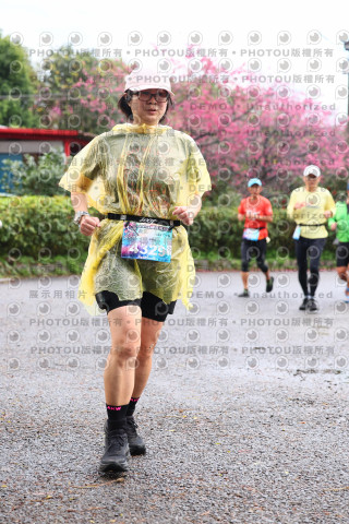 2026左岸竹東櫻花馬拉松Zhudong Sakura Marathon