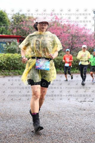 2026左岸竹東櫻花馬拉松Zhudong Sakura Marathon