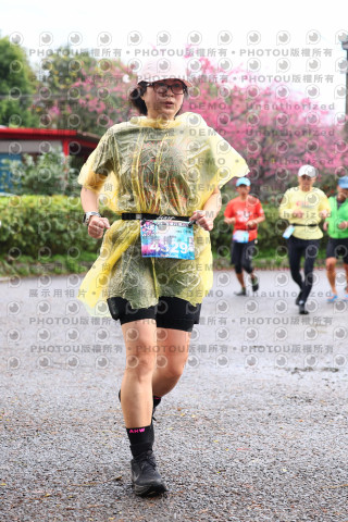 2026左岸竹東櫻花馬拉松Zhudong Sakura Marathon