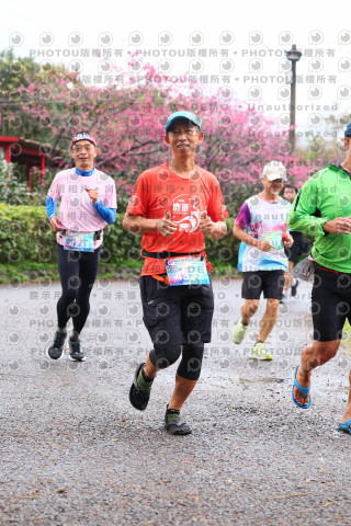 2026左岸竹東櫻花馬拉松Zhudong Sakura Marathon