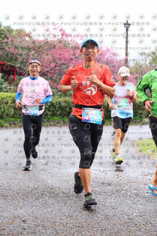 2026左岸竹東櫻花馬拉松Zhudong Sakura Marathon