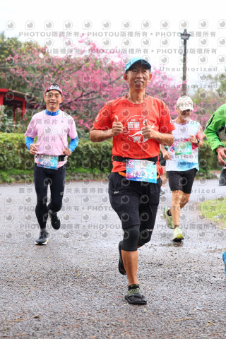 2026左岸竹東櫻花馬拉松Zhudong Sakura Marathon