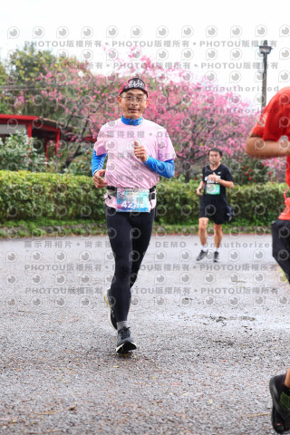 2026左岸竹東櫻花馬拉松Zhudong Sakura Marathon