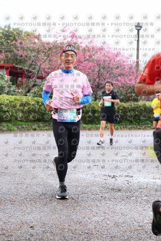 2026左岸竹東櫻花馬拉松Zhudong Sakura Marathon