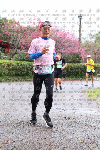 2026左岸竹東櫻花馬拉松Zhudong Sakura Marathon